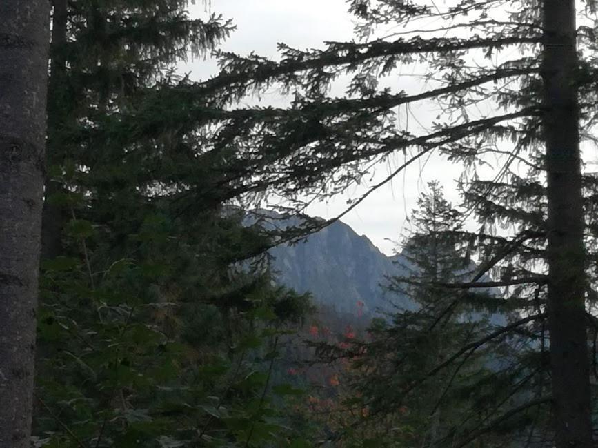 Ferienwohnung Dom Pod Skocznia Zakopane Exterior foto