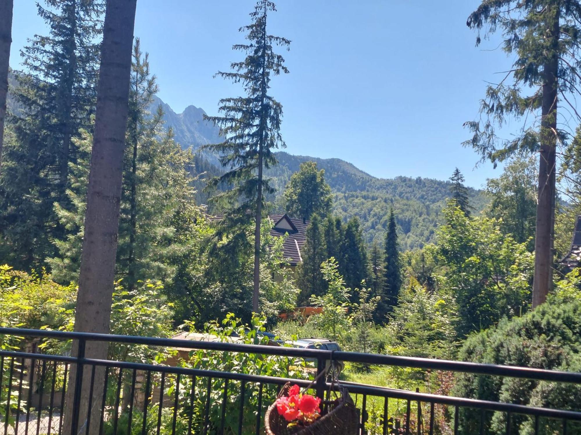 Ferienwohnung Dom Pod Skocznia Zakopane Exterior foto