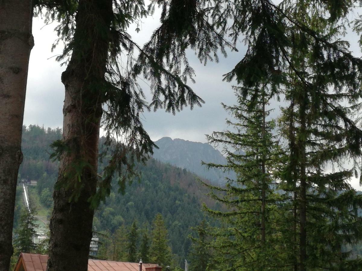 Ferienwohnung Dom Pod Skocznia Zakopane Exterior foto