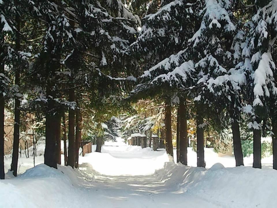 Ferienwohnung Dom Pod Skocznia Zakopane Exterior foto